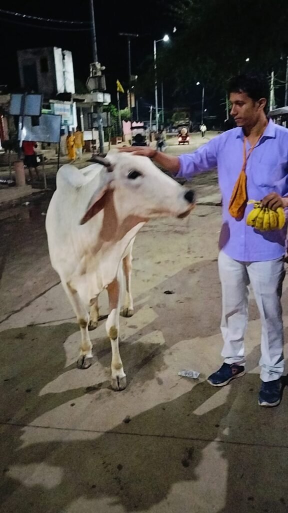 WhatsApp Image 2023-12-31 at 13.00.58