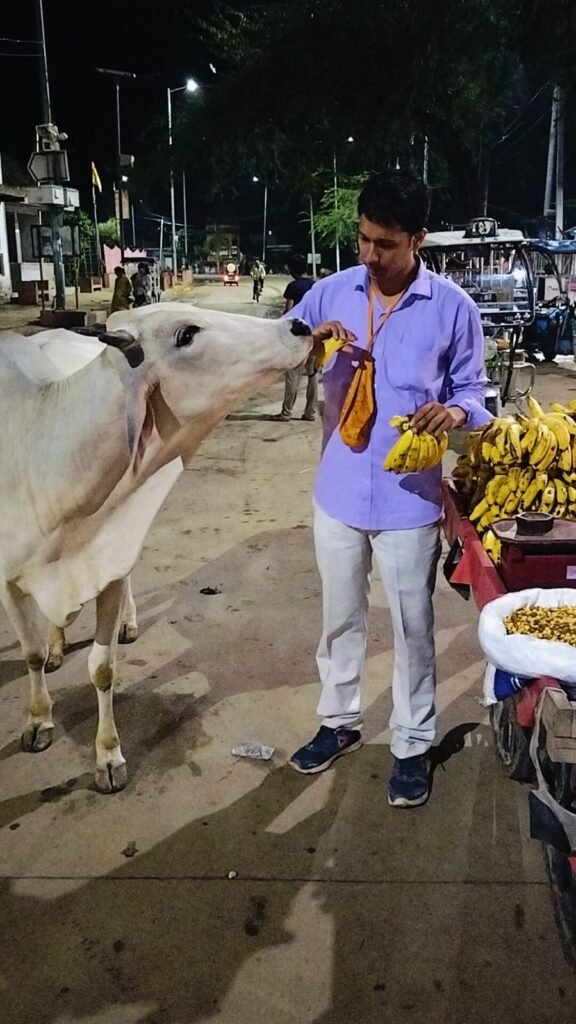 WhatsApp Image 2023-12-31 at 13.01.00